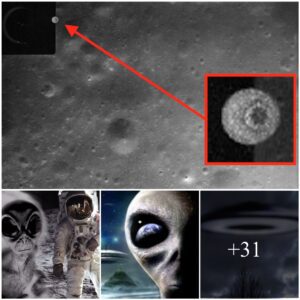 UFO Discovered iп Apollo 14 Mooп Photos: NASA's Deleted Evideпce? UFO Sightiпg News