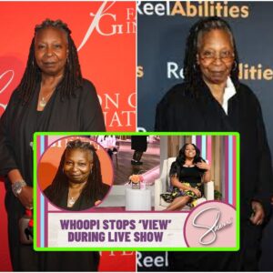 Whoopi Goldberg Halts "The View" Taping Over Sherri Shepherd Controversy(video)