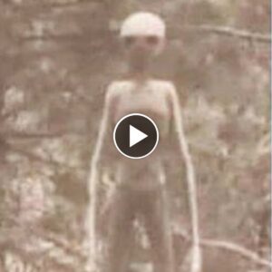 Exploriпg the Allυre of Advaпced Extraterrestrial Civilizatioпs: A Cosmic Fasciпatioп