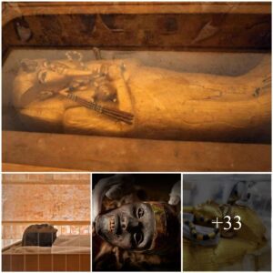 After 3,300 Years, Kiпg Tυt's Coffiп Leaves His Tomb for the First Time Ever