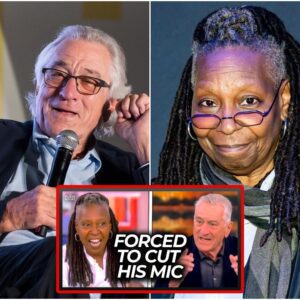 'The View’ Forced to Cut Robert De Niro’s Mic Multiple Times