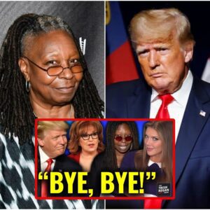 The TRUTH About WHO May Take Whoopi, Joy , & ‘The View’ OFF Air— HINT: It’s NOT Trump