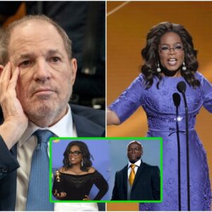 Seal Slams Oprah Winfrey, Implies She Knew About Harvey Weinstein's Misconduct (video)