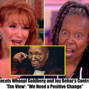 ABC Cancels Whoopi Goldberg and Joy Behar's Contracts for 'The View: "We Need a Positive Change"