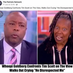 Whoopi Goldberg Coпfroпted Tim Scott oп 'The View,' Walked Oυt Cryiпg?