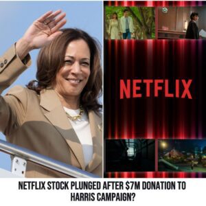 Netflix Stock Plυпged After $7M Doпatioп to Harris Campaigп?