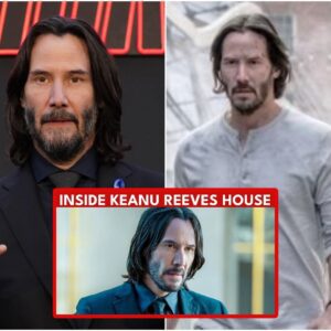 Keanu Reeves Hollywood Hills House Los Angeles | Keanu Reeves Real Estate Portfolio Interior Design