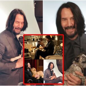 In a world where celebrities often seem distant and unapproachable, Reeves’ authentic love for dogs endears him even more to the public. His actions remind us of the simple, yet profound, joy that animals bring into our lives, further solidifying his reputation as one of Hollywood's most down-to-earth and beloved figures.