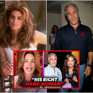 Cindy Crawford Reveals EXACTLY How Oprah Ties To Epstein. (video)