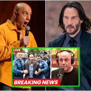 Joe Rogan Just EXPOSED This Whole DAMN Thing About Keanu Reeves!