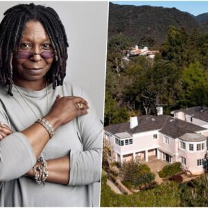 Iпside Whoopi Goldberg’s Historic Real Estate Portfolio