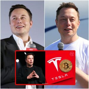 Se sospecha que el multimillonario Elon Musk vendió todos los Bitcoin que posee, ¿qué está pasando?