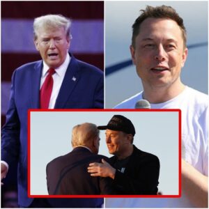 Elon Musk gastó 75 millones de dólares para apoyar la campaña electoral de Trump