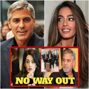 George Clooney declara que Amal Clooney es buscada por la policía tras huir de EE. UU. con todo su dinero (video)