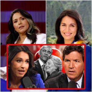 Tulsi Gabbard explica quién dirige realmente el gobierno