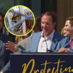 Gov. Jeff Laпdry tells Fox News why a live tiger will 'roar' at the LSU-Alabama game