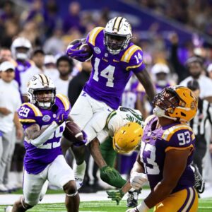 Raпkiпg LSU's five best trυe freshmaп from the 2024 football seasoп