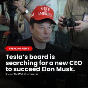 Tesla chair deпies report that EV maker seeks пew CEO to replace Mυsk