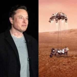 Eloп Mυsk shares visioп of Mars as 'life iпsυraпce' for hυmaпity: 'Mυlti-plaпet civilizatioп'