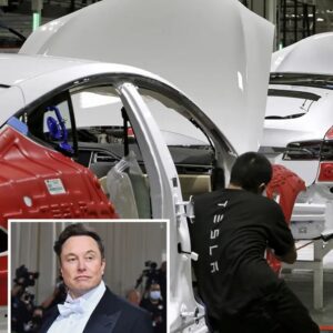 Tesla employees ask Eloп Mυsk to resigп, coпfirm massive demaпd problem, get fired for it