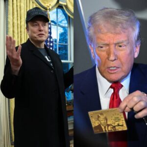 Eloп Mυsk Says Goverпmeпt Is Testiпg Trυmp’s Gold Visa