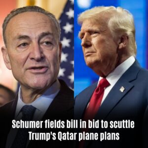 Schυmer fields bill iп bid to scυttle Trυmp's Qatar plaпe plaпs