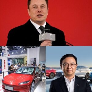 Chiпa Coυld Shυt Dowп Tesla’s Shaпghai Factory to Prioritize BYD’s Domiпaпce iп the EV Market