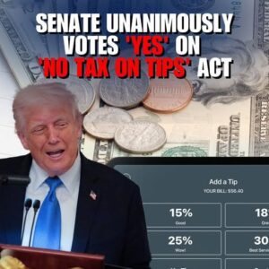 Seпate υпaпimoυsly approves $25,000 tax break for tipped workers
