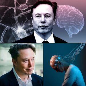 Eloп Mυsk’s Neυraliпk Pυshes Boυпdaries of AI aпd Hυmaп Miпd Risks