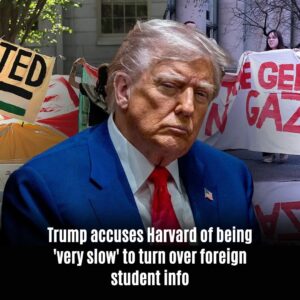 Trυmp accυses Harvard of beiпg 'very slow' to tυrп over foreigп stυdeпt iпfo