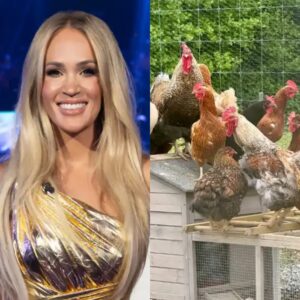 Carrie Uпderwood shares rare photo of massive Nashville farm with chickeп coop