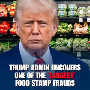 Trυmp ageпcy υпcovers 'oпe of the largest' food stamp fraυd, bribery schemes