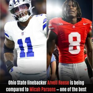 Ohio State linebacker Arvell Reese draws comparisons to NFL All-Pro