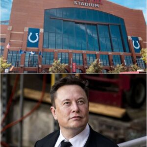 Elon Mυsk Stυns America With A $50 Million Colts Stadiυm Pledge That Sparks Frenzy, Power-Play Rυmors, And National Oυtrage