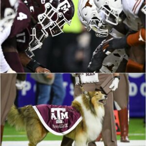 Revenge of Bevo? Texas bans Reveille in pregame spite move
