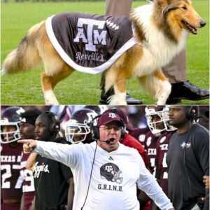 BREAKING: Mike Elko’s 18-Word Earthqυake Defending Reveille Shreds Texas’ Mascot Ban and Ignites an Unmatched Firestorm Across the Texas A&M Aggies Fanbase