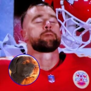 Social Media Destroyed Travis Kelce With Nasty Jokes After NBC Cameras Caυght Sad Sideline Reaction To His Costly Play That Blew SNF Game For The Chiefs